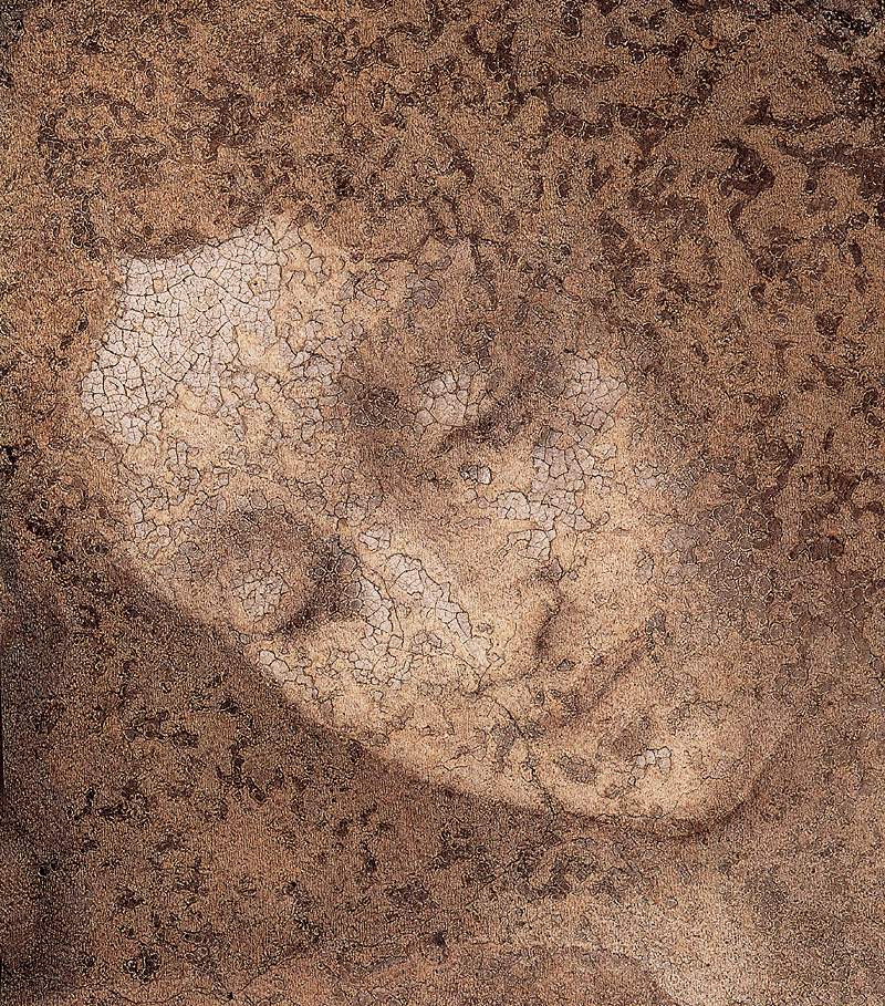 Detail tváře tajemné postavy